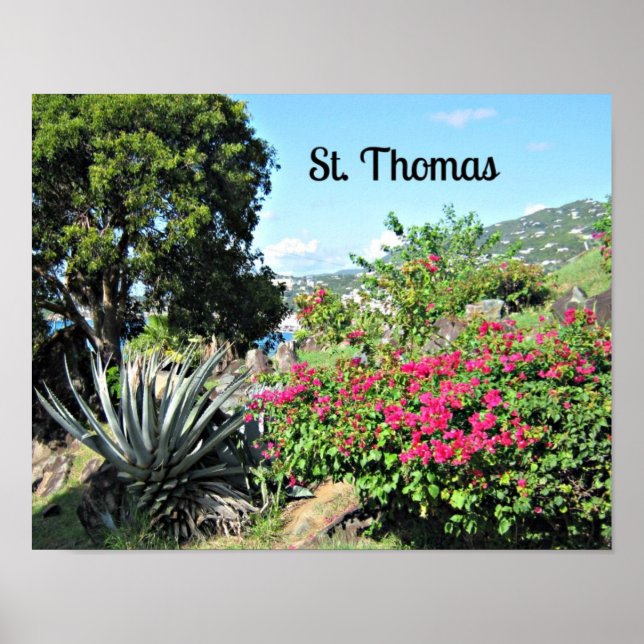 St. Thomas Poster (Framsidan)