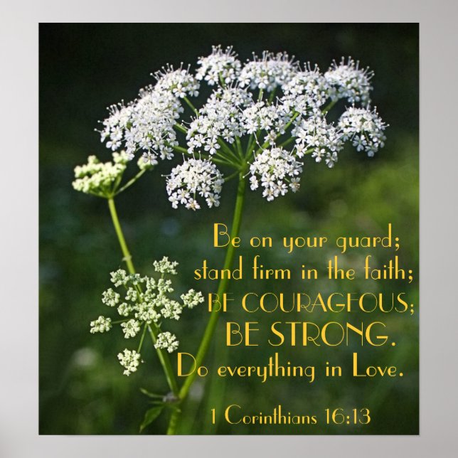 stå fast vid sin troliga bibelversa poster (Framsidan)