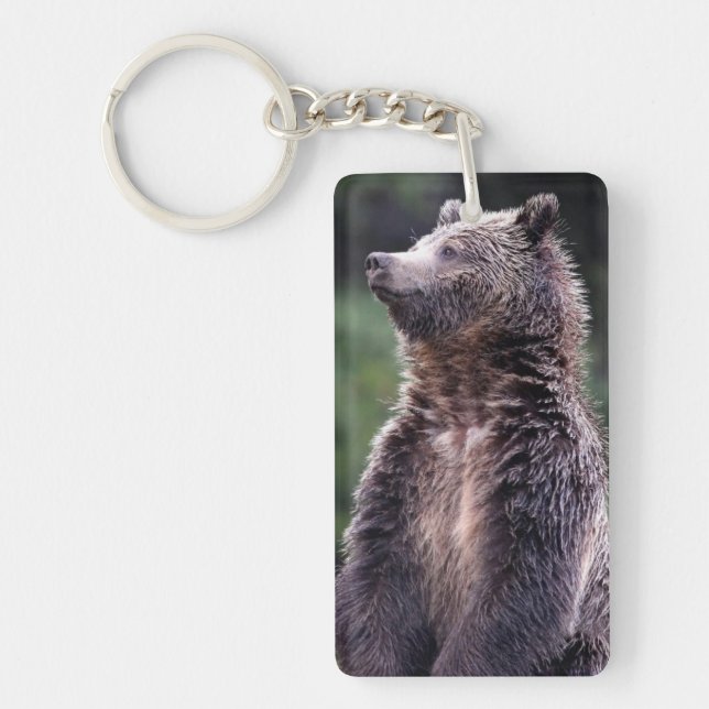 Stå Grizzlybjörn (Framsidan)