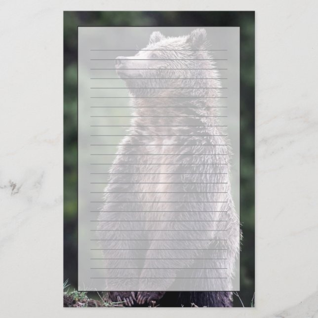 Stå Grizzlybjörn Brevpapper (Framsida)