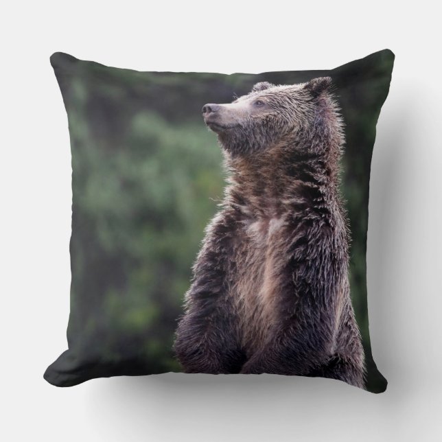 Stå Grizzlybjörn Kudde (Framsida)