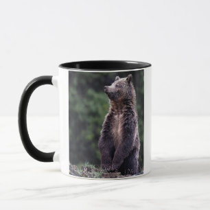 Stå Grizzlybjörn Mugg