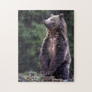 Stå Grizzlybjörn Pussel