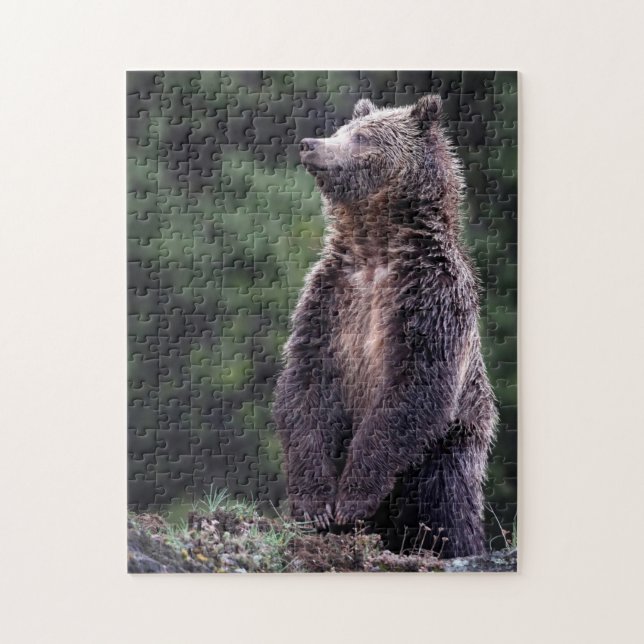 Stå Grizzlybjörn Pussel (Vertikal)