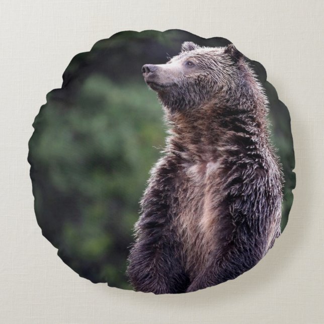 Stå Grizzlybjörn Rund Kudde (Framsidan)