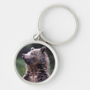 Stå Grizzlybjörn Rund Silverfärgad Nyckelring