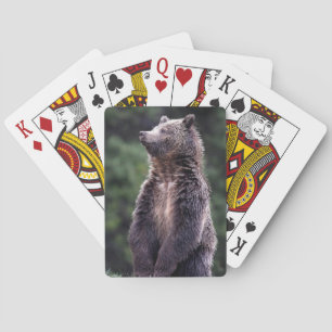 Stå Grizzlybjörn Spelkort