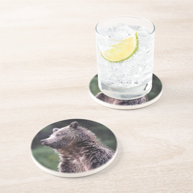 Stå Grizzlybjörn Underlägg Sandsten (Sidan)