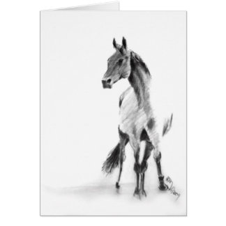 "Stå hästen ", Hälsningskort
