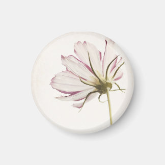 "Stå i ljus" Magnet