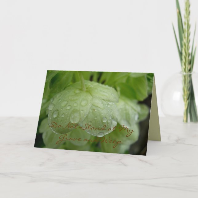 Stå inte på mitt allvarliga kort (Framsida)
