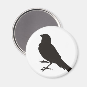 Stå kanariefågelfågel magnet