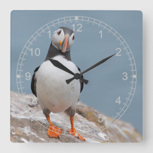 Stå Puffin Fyrkantig Klocka