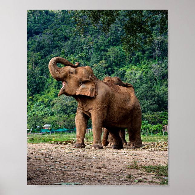 Stå upp och lyssna poster (Framsidan)