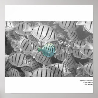 Stå ut från folkmassan poster