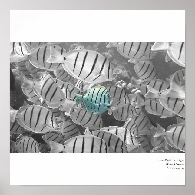 Stå ut från folkmassan poster (Framsidan)