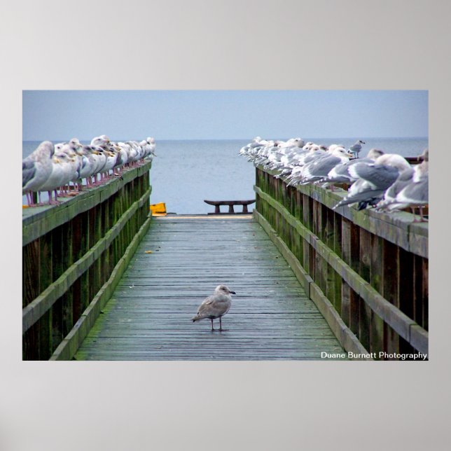 Stå ut i folkmassan poster (Framsidan)