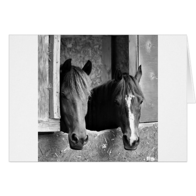 Stabila kompisar hälsningskort (Framsidan Horizontal)