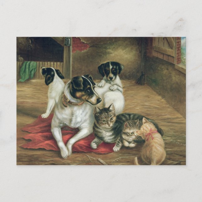 Stabila vänner vykort (Framsida)