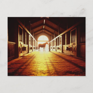 Stable-Händer Vykort