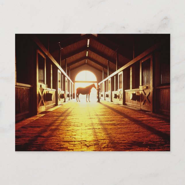 Stable-Händer Vykort (Framsida)
