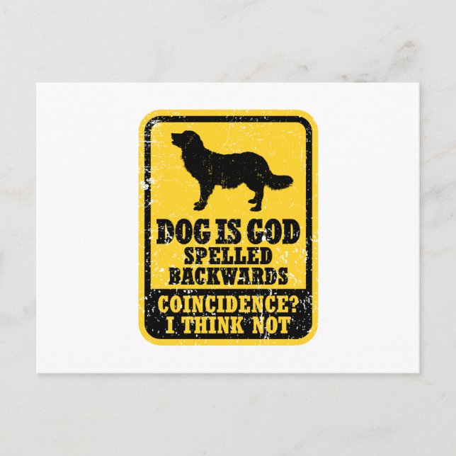 Stabyhoun Vykort (Framsida)