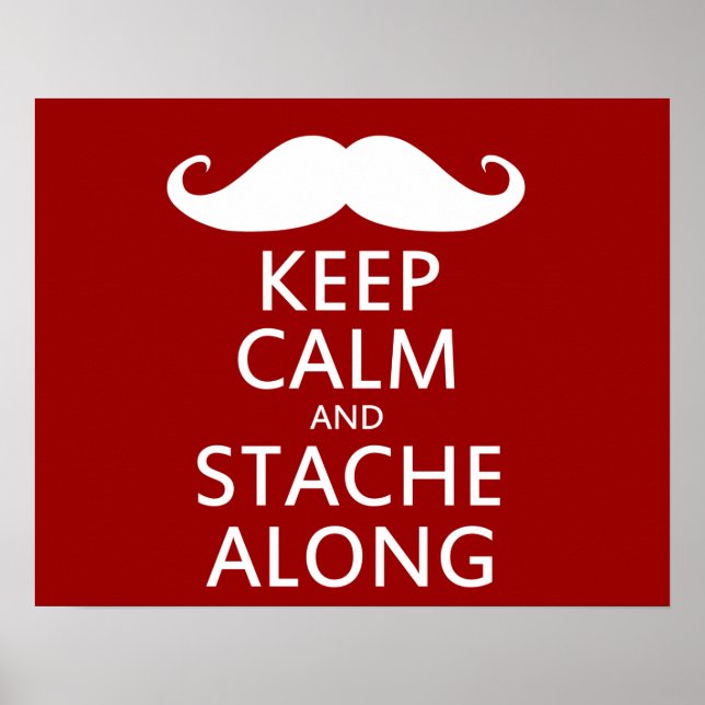 Stache Along Poster (Framsidan)