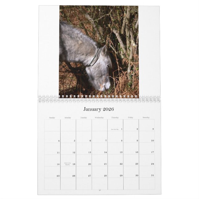 Stackar 2008 slumpmässiga bilder C… Kalender (Jan 2026)