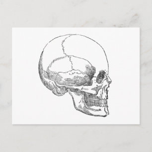 Stackars Yorick Skull Vykort