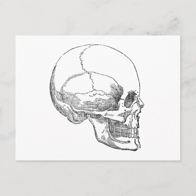 Stackars Yorick Skull Vykort (Framsida)