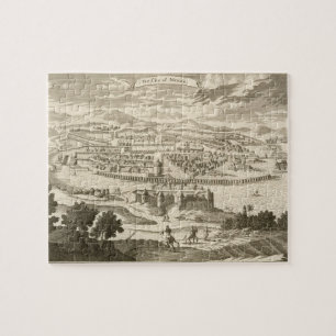Staden av Mexico, 1723 (gravyr) Pussel