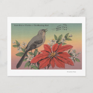 Staden Bird of FloridaMocking BirdFlorida Vykort