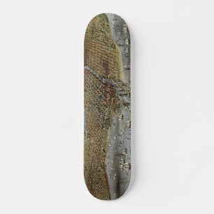 Staden Chicago Illinois från 1874 Skateboard Bräda 19,5 Cm