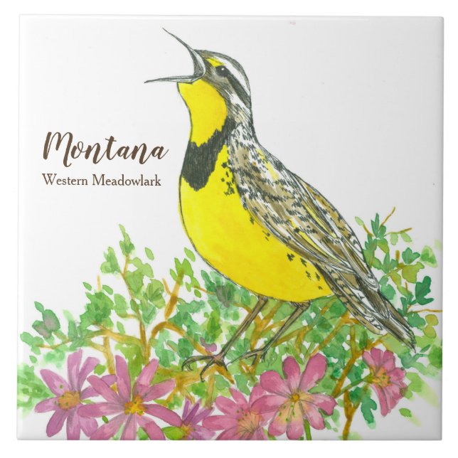 Staden Montana Meadowlark Songbird Kakelplatta (Framsidan)