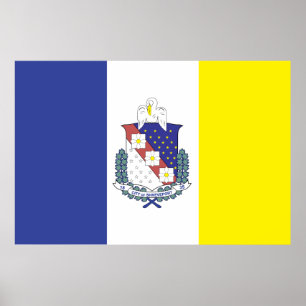 Staden Shavslöjport flagga Poster