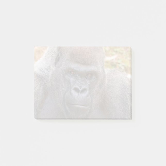 Stadi i Zoo Atlanta (2023) Post-it Block (Framsida)