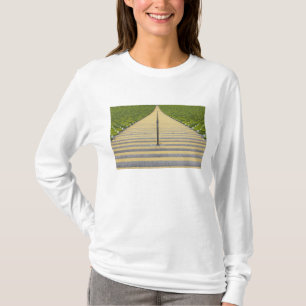 Stadiontrappan between ror av grönt placerar tee shirt