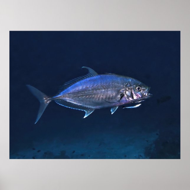 Städning jack poster (Framsidan)