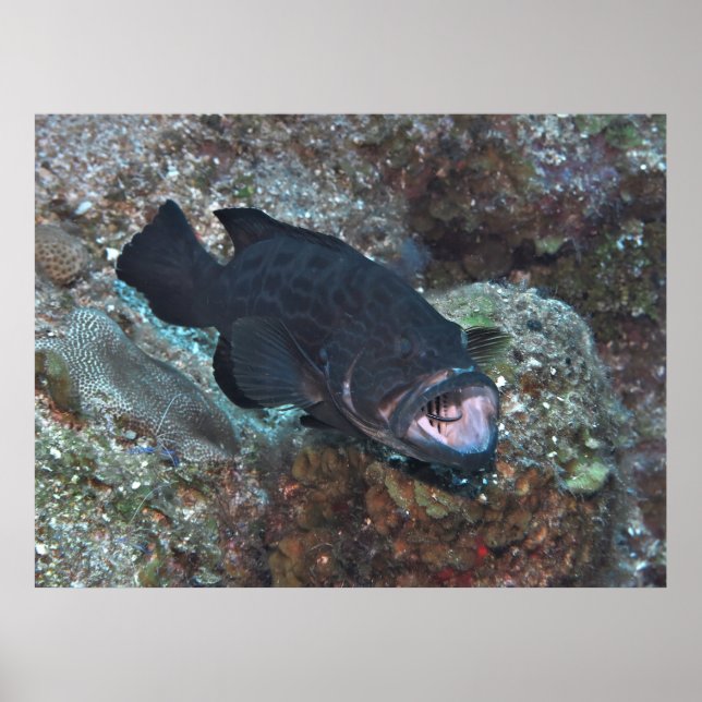 Städning Station Poster (Framsidan)