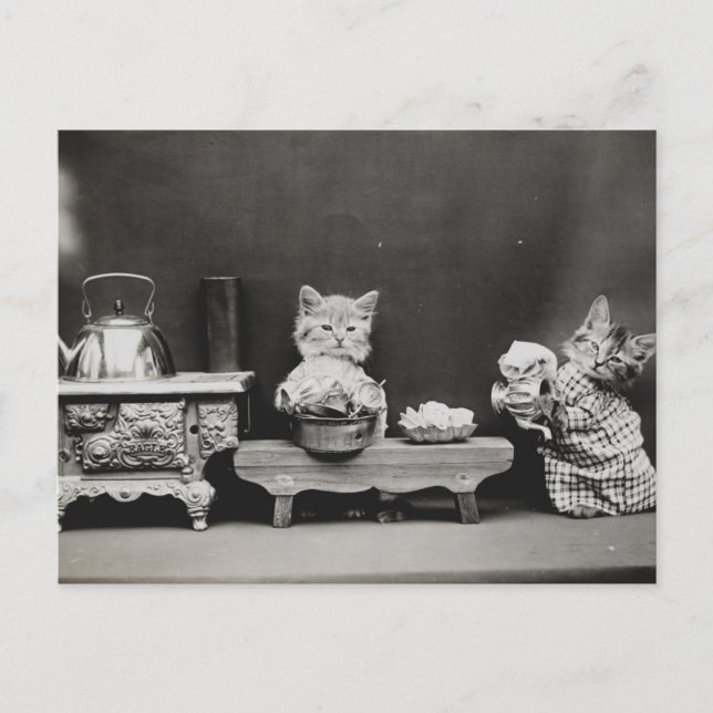 Städning Tekannan Vykort (Framsida)