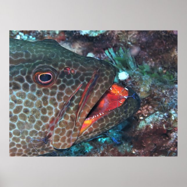 Städning tjänst poster (Framsidan)