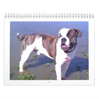 Stads- Doo krasch Kalender