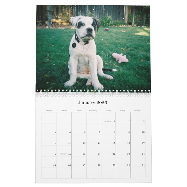 Stads- Doo krasch Kalender (Jan 2026)