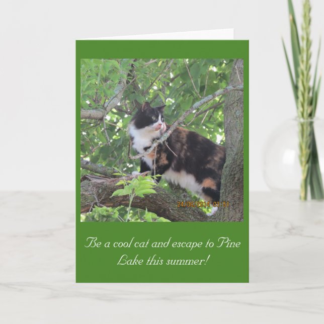 Stadskatten älskar Gräs Sjö träd! Kort (Framsida)