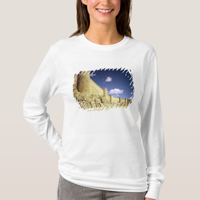 Stadsväggarna T-shirt (Framsida)