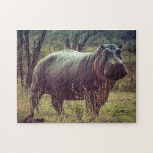 Stående Hippo Posing i Camera i Afrika Foliage Pussel