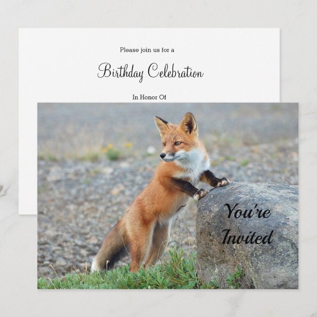 Stående inbjudan till Red Fox Birthday (Fram/baksida)