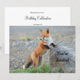 Stående inbjudan till Red Fox Birthday