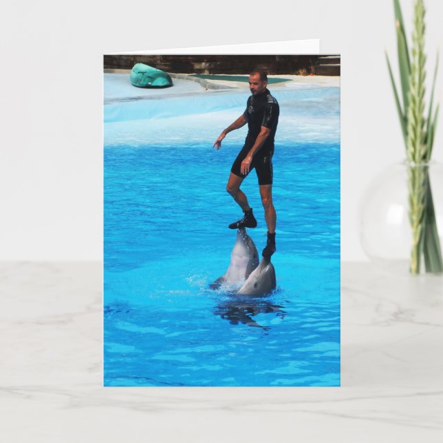 Stående på delfiner helgkort (Framsida)