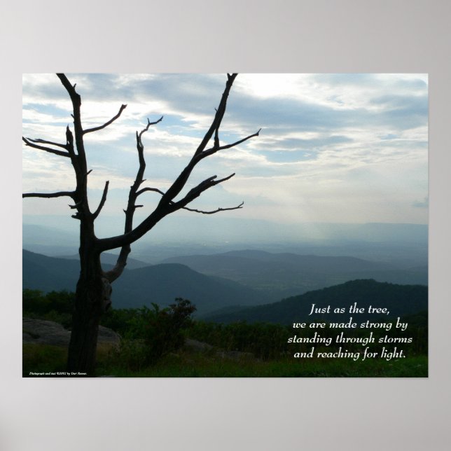 Stående/Poster Poster (Framsidan)